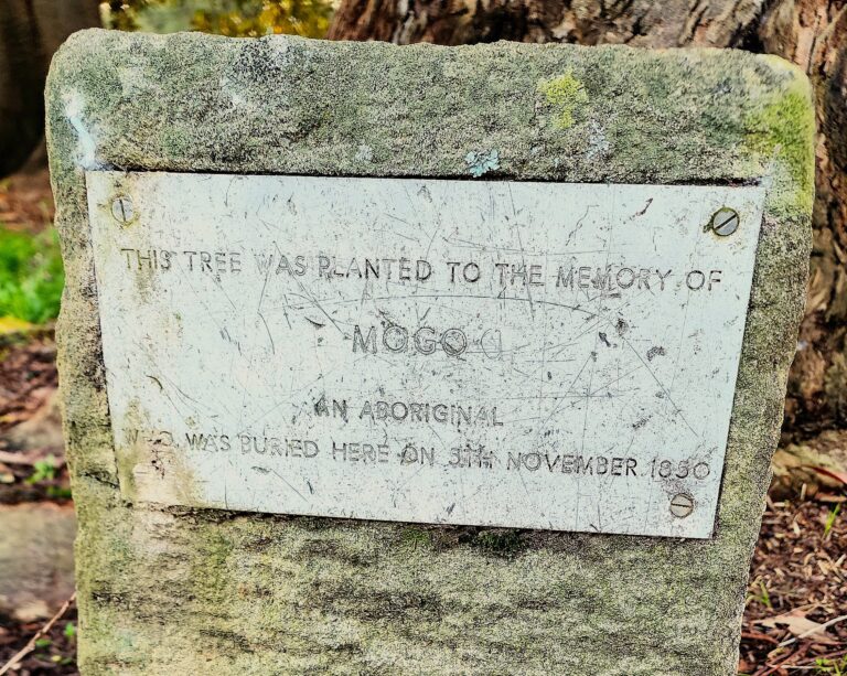 Between Two Worlds: The Tragic Story of Mogo Gar